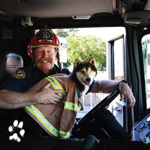 This is a photo of a firefighter with a dog dressed as a firefighter