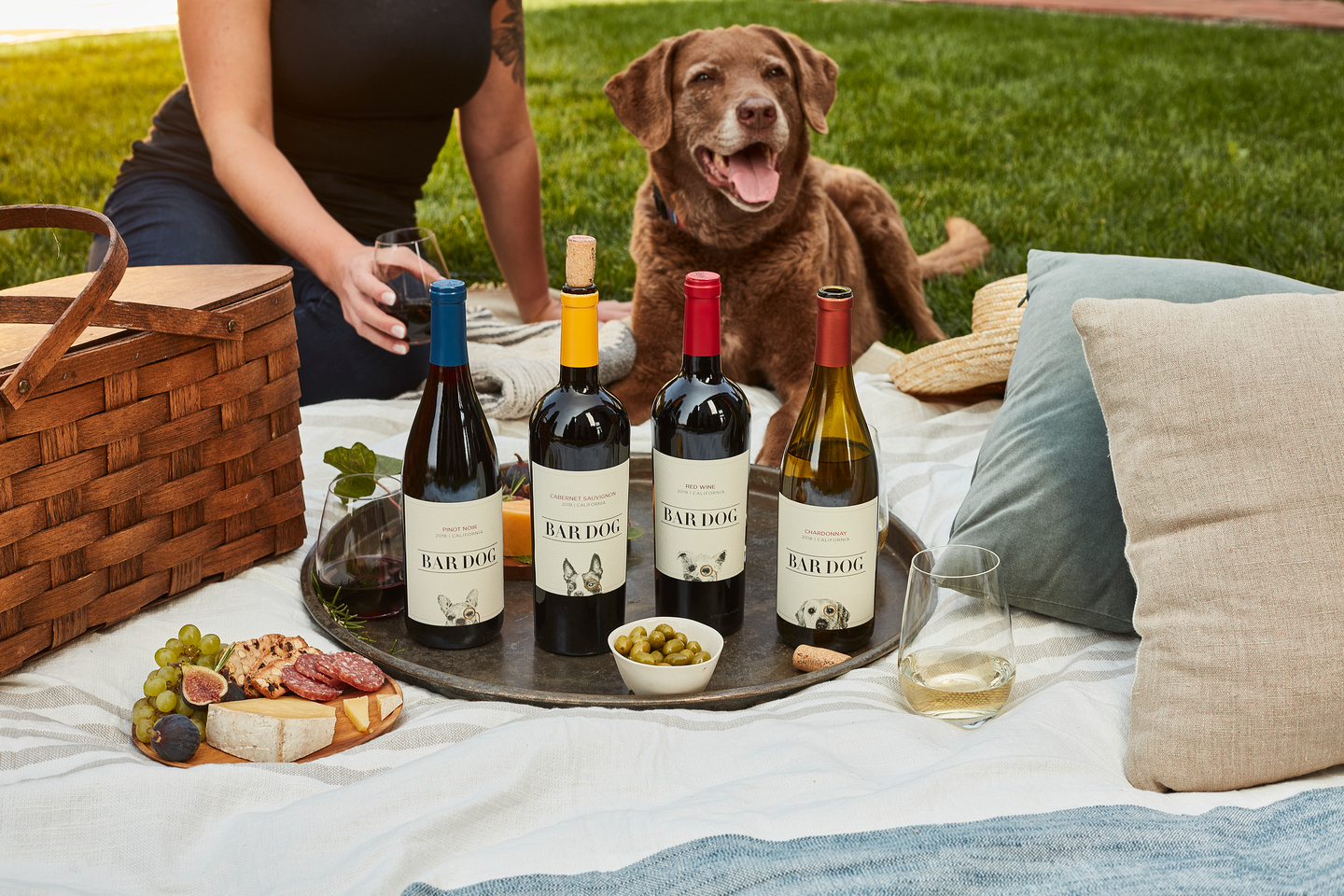 Event Page Bar Dog Wine