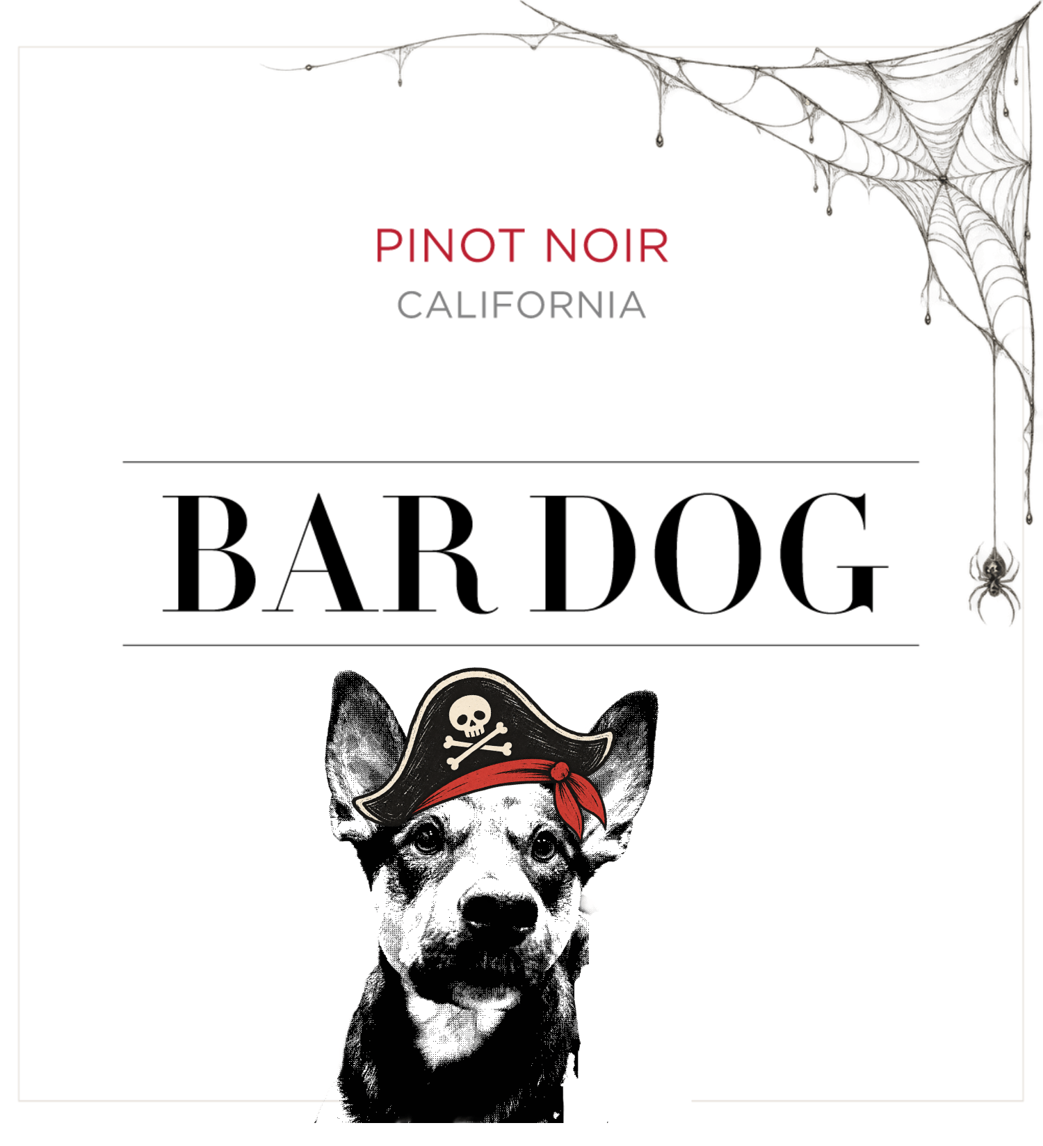 Joe’s dog on a custom Bar Dog label with a pirate hat and spider web background.